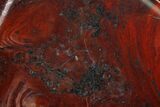 Polished Stromatolite (Collenia) - Minnesota #155573-1